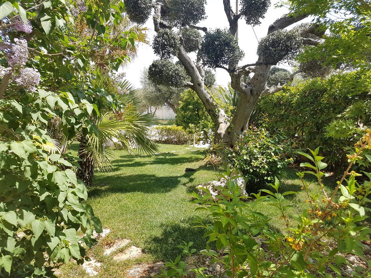 Villa Petra Chiara Locorotondo Ngoại thất bức ảnh